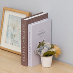 The Secret” Aesthetic Decorative Books – Set of 2